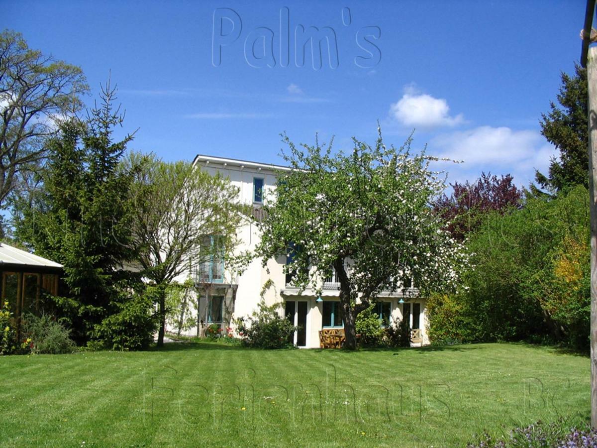Palms Ferienhaus Klutz Exterior foto